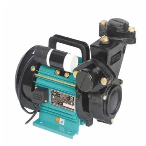 Lubi 1HP Monoblock Water Pump, Champion Plus I